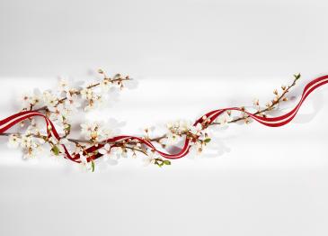 Darba laiks Latvijas svētkos