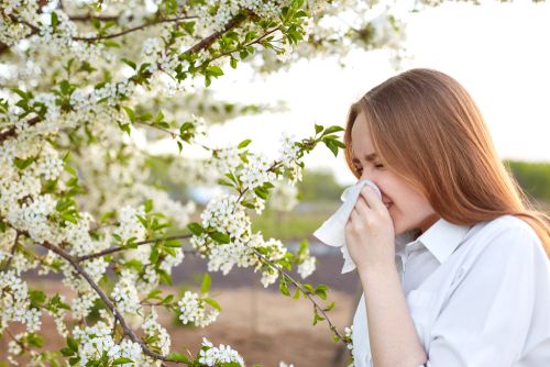 Pasargājies no putekšņu alerģijas