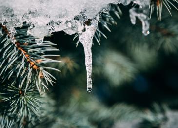 Mēness aptieku darba laiki pārceltajā darba dienā 17.01.2026.