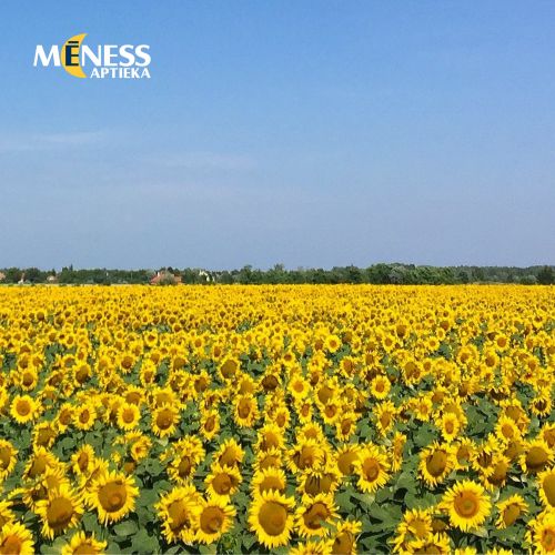 „Mēness aptieka” cietušajiem Ukrainā nosūta nākamo medikamentu ziedojumu