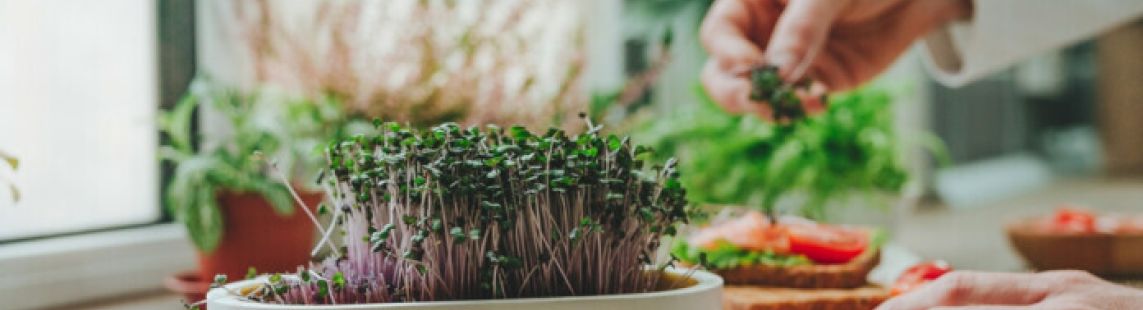 Kā pēc ziemas noguruma palīdz zaļumu spēks